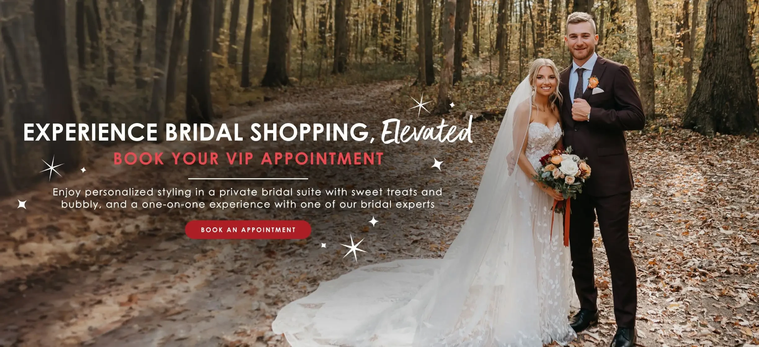 Elevated Appointments Banner